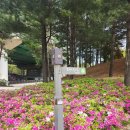 [의왕 / 오전상회] 시골야장감성으로 삼겹살과 맛있는 안주들을 먹을수 있는곳 feat. 모락산 등산