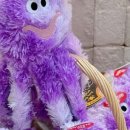 도그온리 이미지