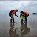 마시안갯벌체험장 이미지