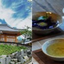 삼가관광농원 이미지