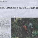손희정