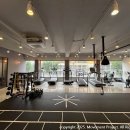 WELLNESS