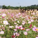 장동축산 이미지