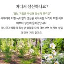 동네한바퀴