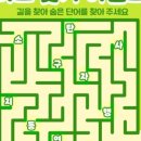수성환경 이미지
