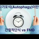 간헐적 단식의 의미와 목적: 자가포식(autophagy) 기능의 활성화 이미지