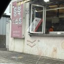 제주 애견동반 여행 저지오름 삼달리꽃밭에서 동백명소