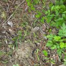 너와의 산책 이미지