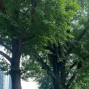 (주)해내 이미지