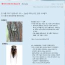 Re: 매미의 일생 이미지