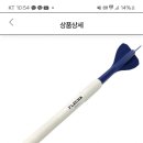 플레차