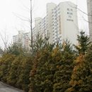 마북서울약국 이미지