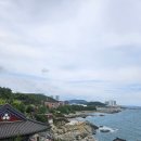 해동용궁사 | 부산기장가볼만한곳 해동용궁사애견동반 입장료 방문후기