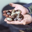 청아산업 이미지