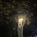 밀양캠핑장 이미지