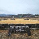 금성자원 이미지