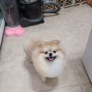 김포24시 힐 동물의료센터 이미지