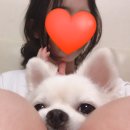 미치과의원 이미지