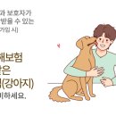 금쪽금쪽금쪽반려동물병원 이미지