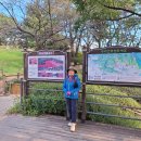 수리산둘레길 이미지