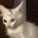 낙무아이 복싱짐 이미지