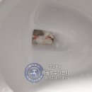 남악4로 이미지