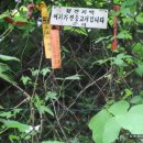긴고개 Daum카페