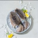 케이엠 쇼핑하우