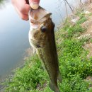 송산2교 이미지