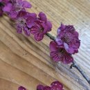 옥당걸숲속 | 김천 캠핑장 한적해서 좋은 옥당걸 숲속캠핑장