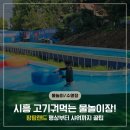 팜팜 | [재방문 후기] 시흥 팜팜랜드 물놀이장 꿀팁 대방출! 평상 명당+샤워장 대처법까지