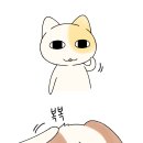 멍구멍구 이미지