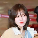 샤밍헤어 이미지