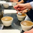 나도 한다 커피바리스타 자격증 | SCA바리스타자격증학원 해외자격증 취득 후기