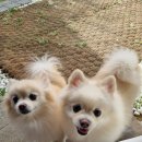 청도의하루 이미지