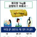 더따숨더점핑