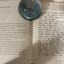 필사 09월 18일 문재인의 운명_10. 노 변호사를 국회로 보내다 이미지