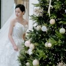 세실리 | 부산 본식 그랜드 모먼트 세실리스냅 후기👰🏻🤵🏻