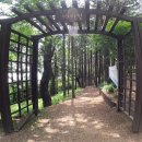 천마산10리길 이미지