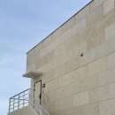 스테이가인1 이미지