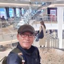 스텔라제주