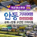 우등리무진투어여행사