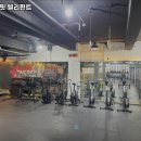 크로스핏엘리펀트 이미지