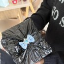 스테이 담 이미지