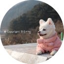 흙집사랑B 이미지