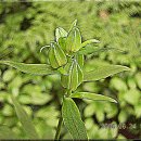 분수3리 이미지