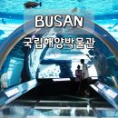 배수지어린이공원 | 부산 영도 국립해양박물관 입장료 무료 체험 후기 실내 명소 추천
