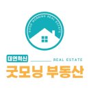 대연혁신부동산중개사무소 네이버블로그