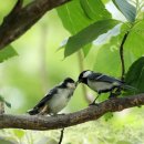 (주) 정언 이미지