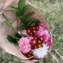 화훼장식기능사 실기반(반구형, 원추형 꽃다발, 코사지_그래머시플라워학원) / 자격증 실기 접수 후기